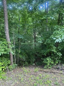 0 Dogwood Trl Lot 155, Maynardville, TN, 37807