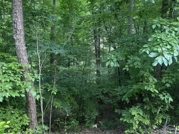 0 Dogwood Trl Lot 155, Maynardville, TN 37807