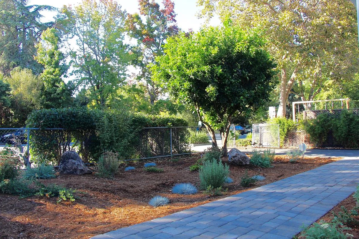 3 bed, 1200 sqft, $6,800 — Photo 3