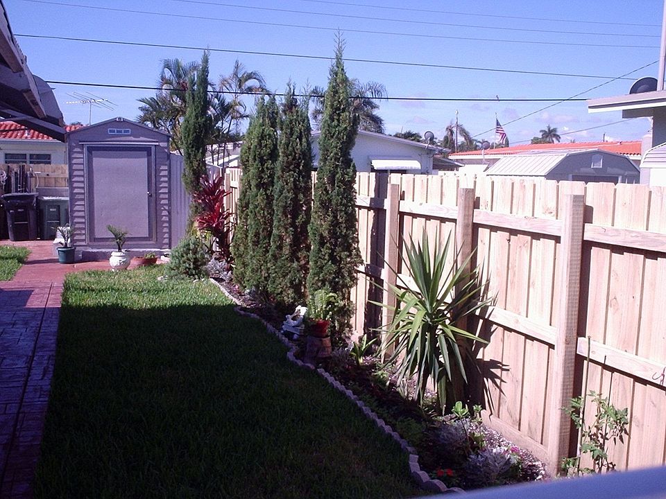 Back Yard