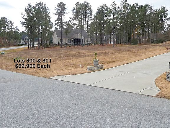 4th image of 102 Skipping Water Dr Lot 306
