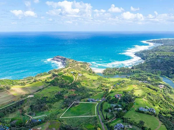 4095 Pali Moana Pl Lot 21, Kilauea, HI 96754