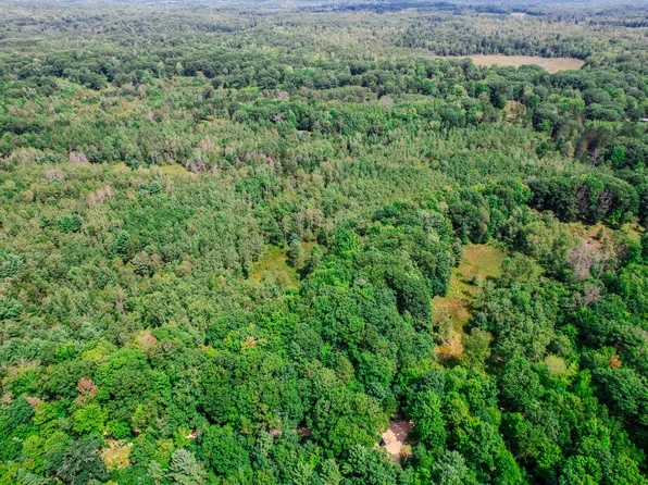 V/l Forest Dr Parcel 6, Cadillac, MI 49601