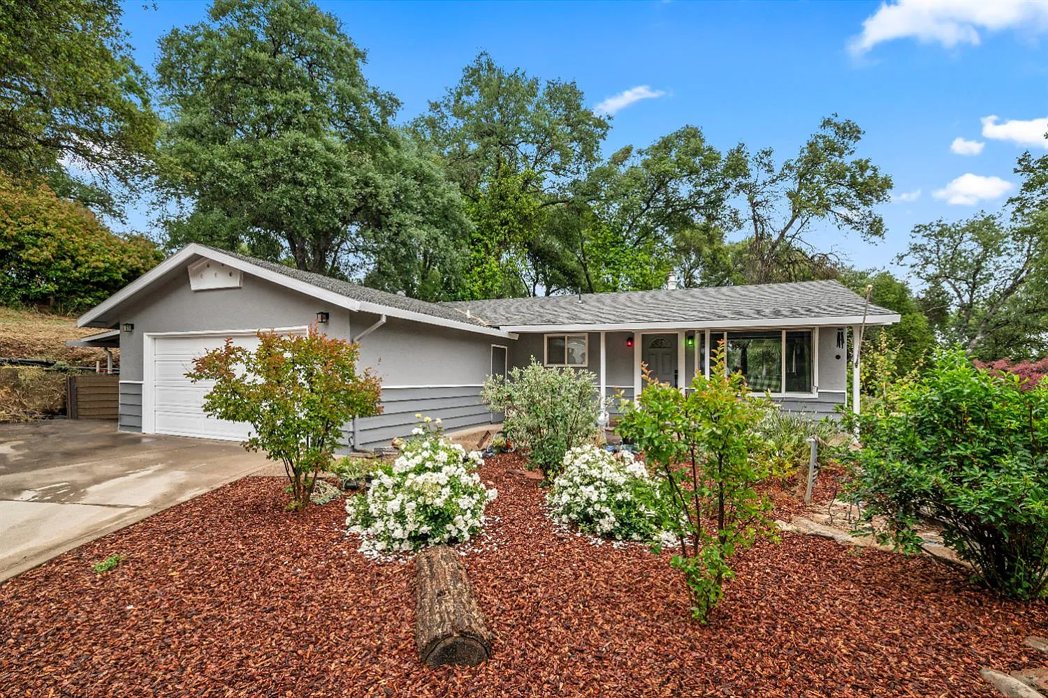 4428 Panorama Dr photo 1