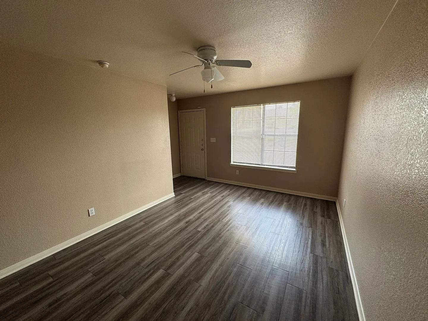 3805 Y S Pak Ct — Photo 3