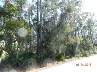 254 S Volusia Ave, Pierson, FL 32180