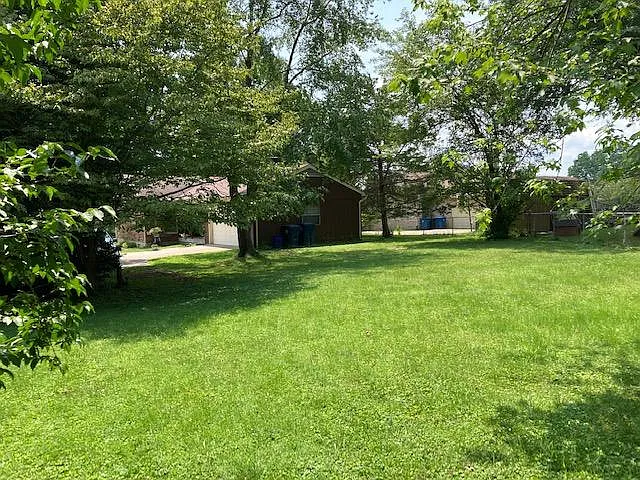 Back yard looking toward house