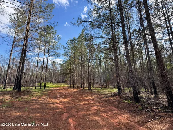 43/AC Barrons Bridge Rd, Dadeville, AL 36853