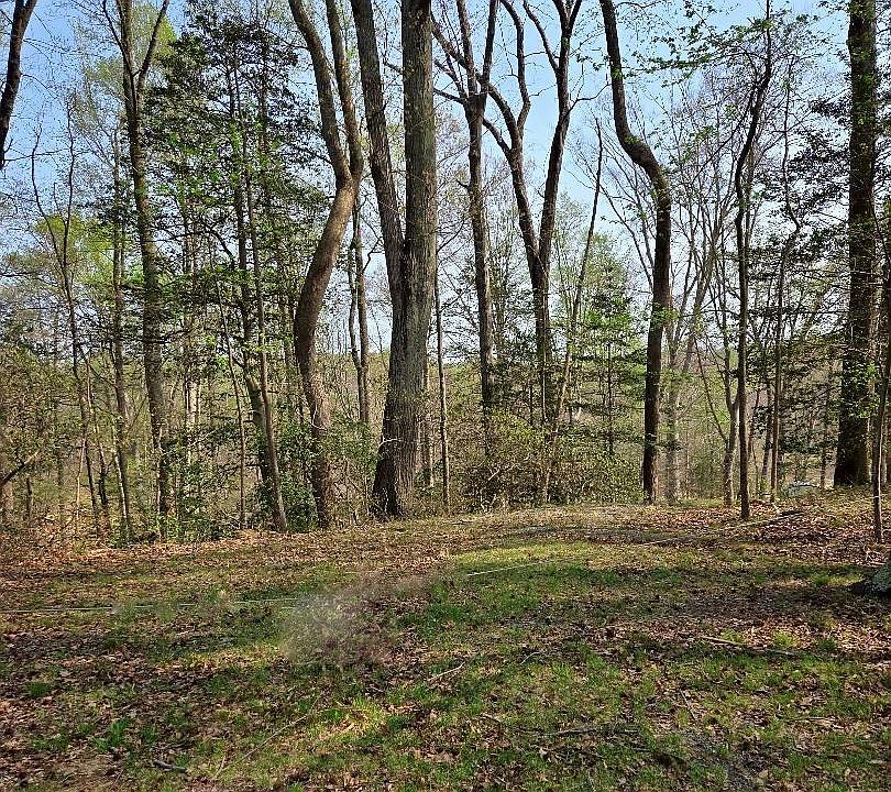 1st image of LOT 124 Treasone St