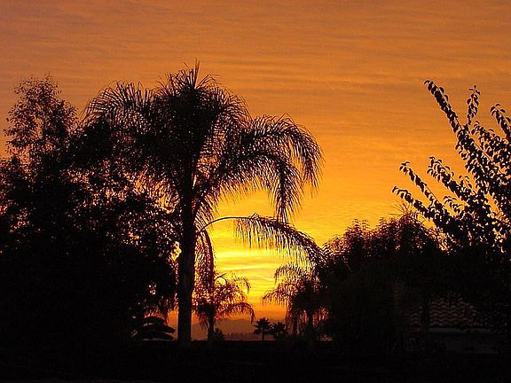 Sunrise on the back patio