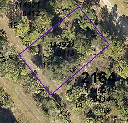2nd image of Norton Dr