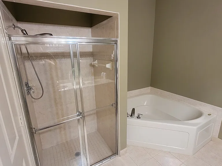Master bathroom view 2