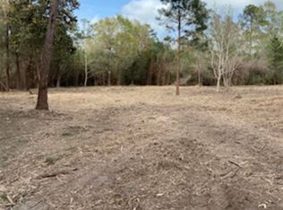 10825 Wingfield Dr, Lumberton, TX 77657