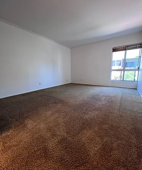 6000 Canterbury Dr #207 — Photo 16