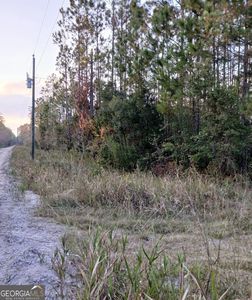 0 Kings Bay Rd, Waynesville, GA, 31566
