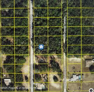 6515 N Silverbell Ter, Hernando, FL, 34442