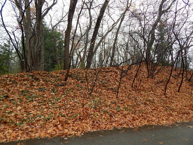 1st image of Hillside Trl