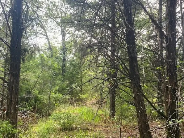 TBD Fcr 240, Fairfield, TX 75840