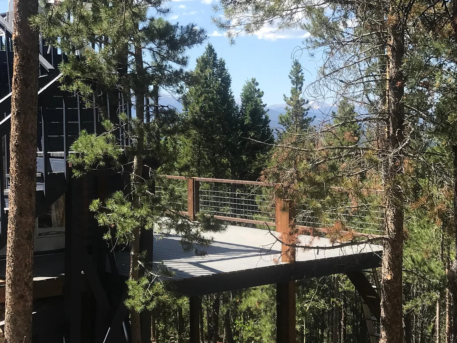 2 bed, 750 sqft, $1,350 — Photo 2