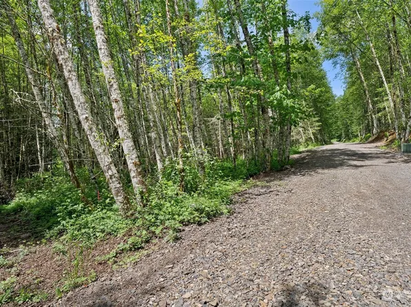 178 Owl Creek Lane, Morton, WA 98356