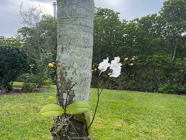 1815 Robalo Dr #106C — Photo 15