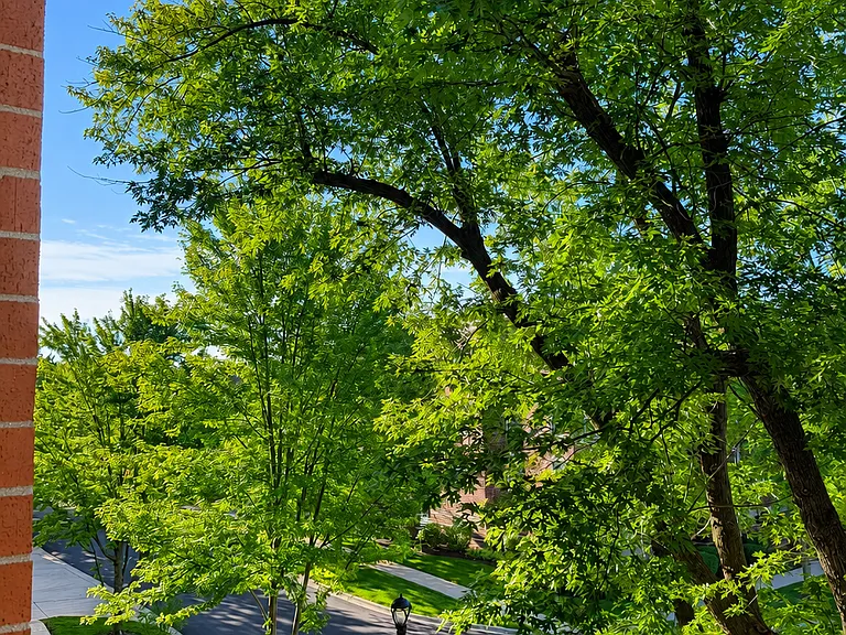Super quiet and green street views from balcony