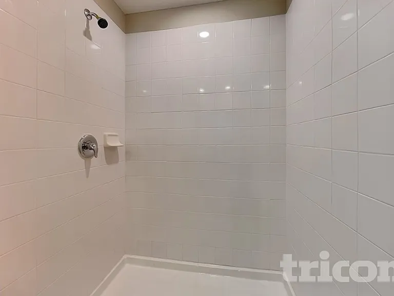 4906 White Chicory Dr — Photo 9