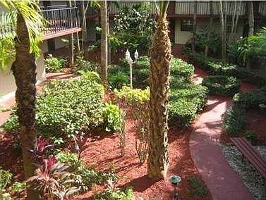 3rd image of 10865 SW 112th Ave APT 105