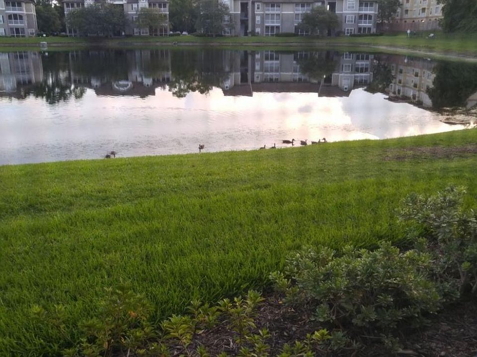 lake view