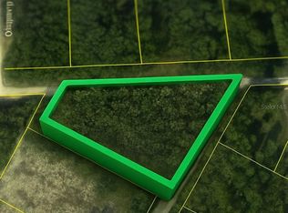 Coral Rock Dr #13, Webster, FL 33597