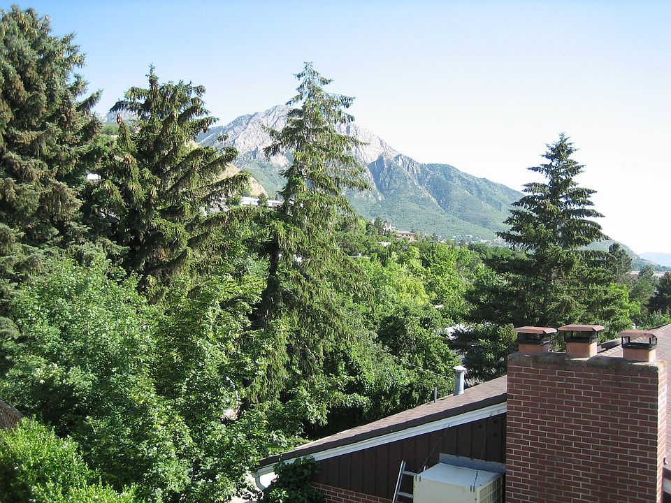 Views of Mt. Olympus