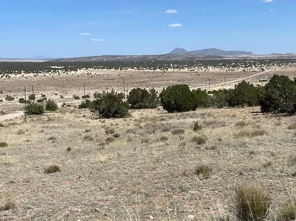 58753 N Calle Carlota, Seligman, AZ 86337