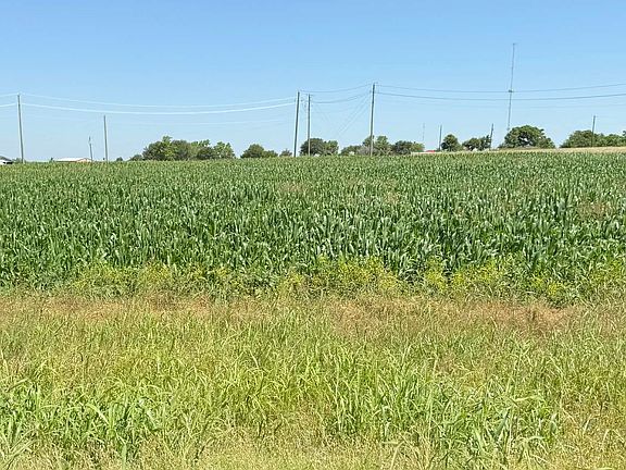 5th image of Fm 438 Loop