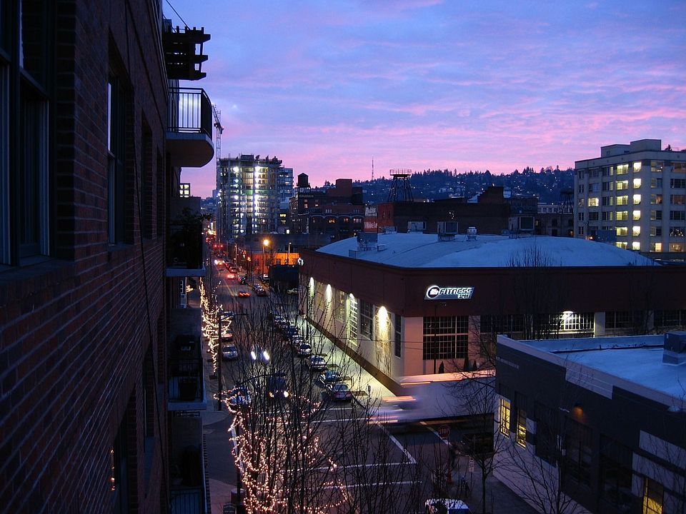 View from patio