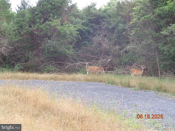 2nd image of 1 Martin Payne Rd