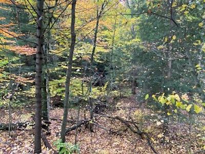 M-40 Highway LOT C, Allegan, MI, 49010