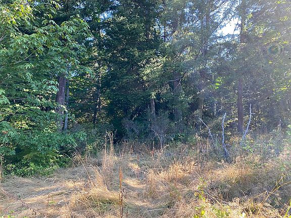 5th image of 242071 Highway 101