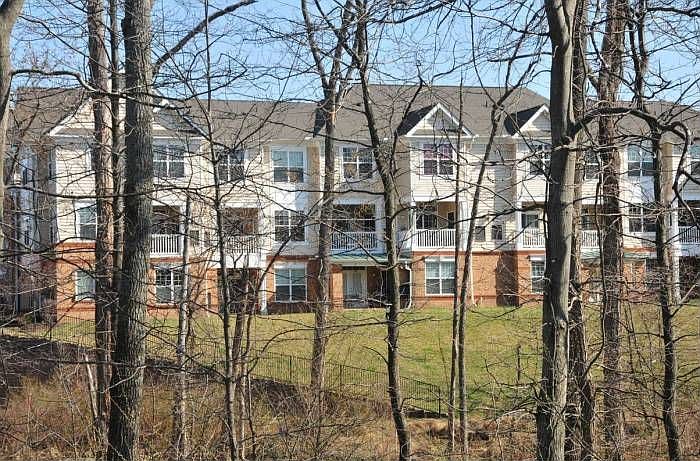 Exterior View Thru Woods