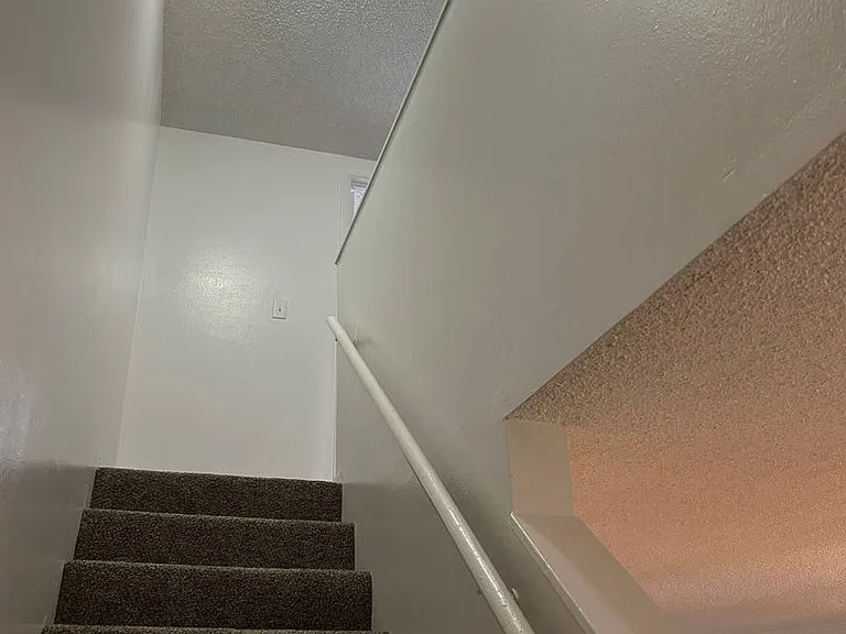 5508 Pokeweed Ct — Photo 13
