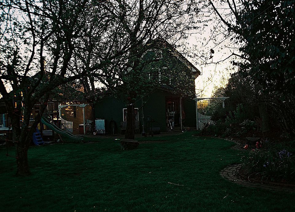 house from back yard