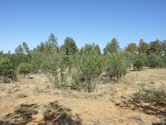 3rd image of LOT Lamb Dr #C