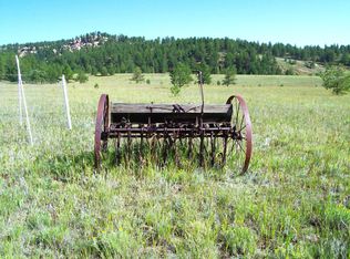 3032 County Road 12, Florissant, CO 80816