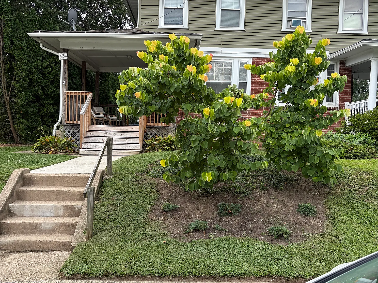 2 bed, 480 sqft, $900 — Photo 1