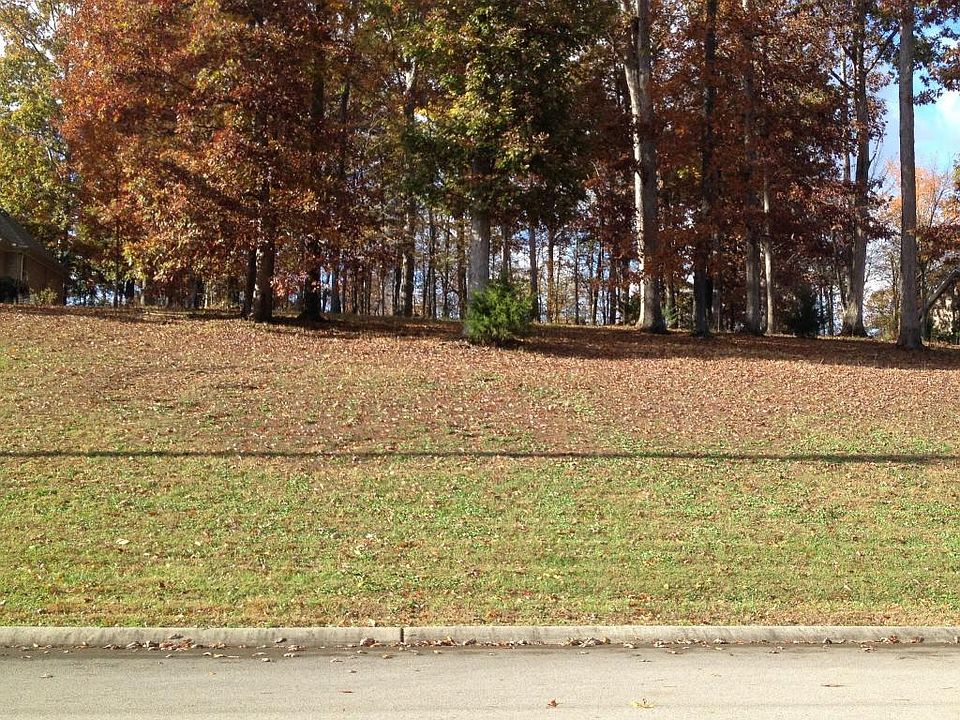 1st image of 116 Woodhaven Dr