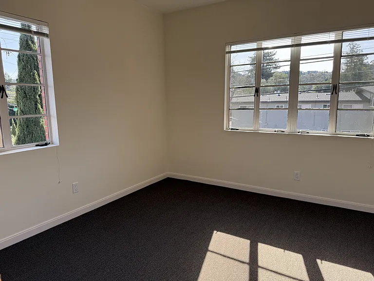 Two windows in living room