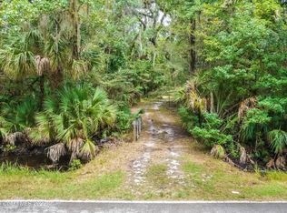 710 Maytown Rd, Oak Hill, FL 32759