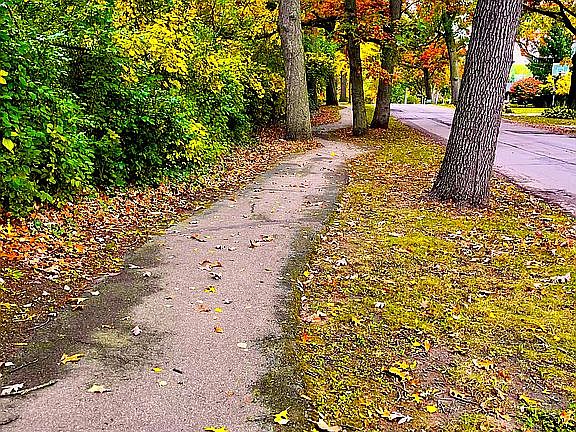 Beautiful walking trails 