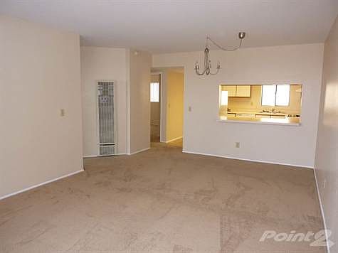 Living room / dining area