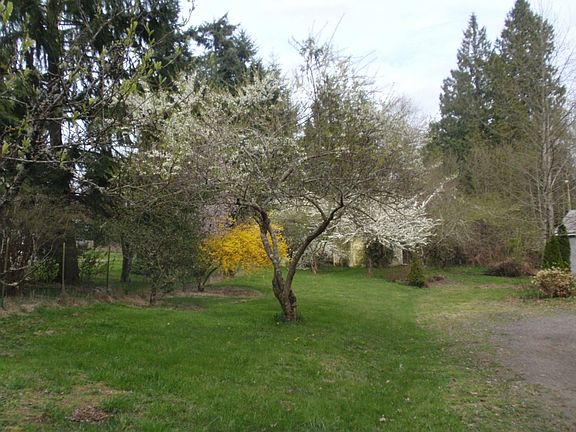 3rd image of 454 NW Equestrian Dr