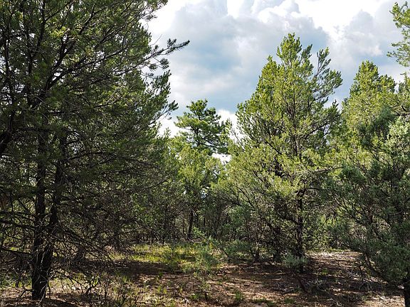 4th image of Talavera Sub Division Lot 9-B-3